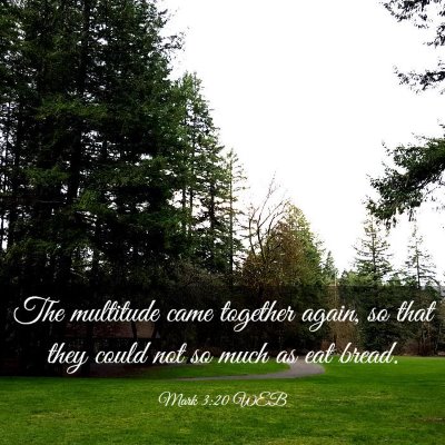 Picture 03 - Mark 3:20 WEB - The multitude came together again, so that they - Bible Verse Picture