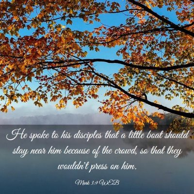 Picture 03 - Mark 3:9 WEB - He spoke to his disciples that a little boat - Bible Verse Picture