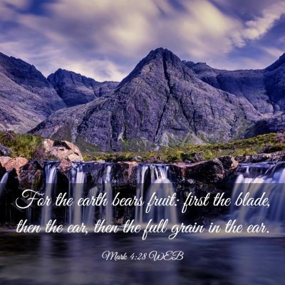 Picture 03 - Mark 4:28 WEB - For the earth bears fruit: first the blade, then - Bible Verse Picture
