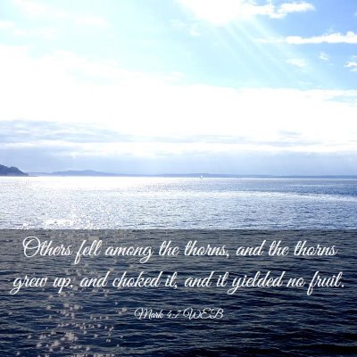 Picture 03 - Mark 4:7 WEB - Others fell among the thorns, and the thorns grew - Bible Verse Picture