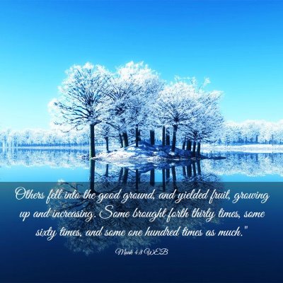 Picture 03 - Mark 4:8 WEB - Others fell into the good ground, and yielded - Bible Verse Picture