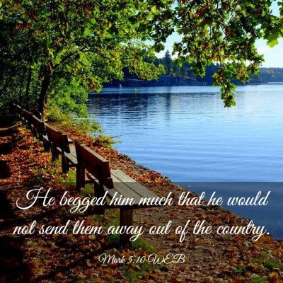 Picture 03 - Mark 5:10 WEB - He begged him much that he would not send them - Bible Verse Picture