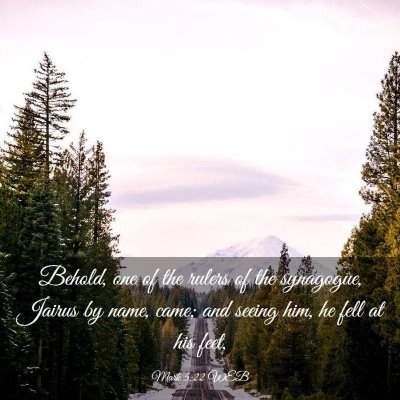 Picture 03 - Mark 5:22 WEB - Behold, one of the rulers of the synagogue, - Bible Verse Picture