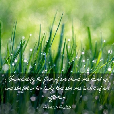 Picture 03 - Mark 5:29 WEB - Immediately the flow of her blood was dried up, - Bible Verse Picture