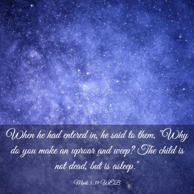 Picture 03 - Mark 5:39 WEB - When he had entered in, he said to them, 