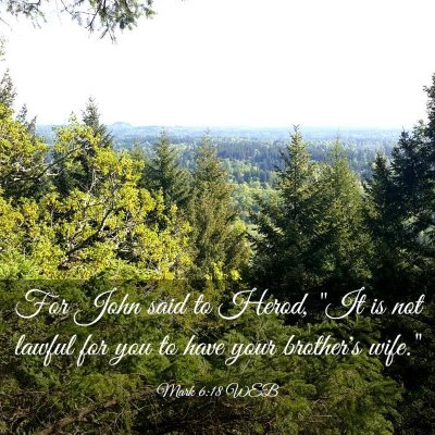 Picture 03 - Mark 6:18 WEB - For John said to Herod, 