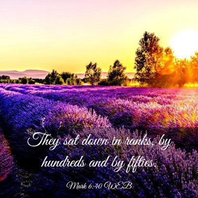 Picture 03 - Mark 6:40 WEB - They sat down in ranks, by hundreds and by - Bible Verse Picture