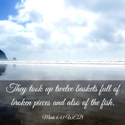 Picture 03 - Mark 6:43 WEB - They took up twelve baskets full of broken pieces - Bible Verse Picture