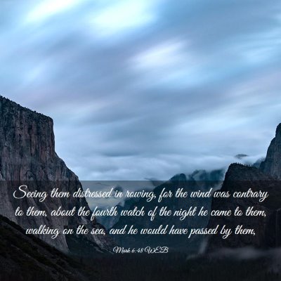 Picture 03 - Mark 6:48 WEB - Seeing them distressed in rowing, for the wind - Bible Verse Picture