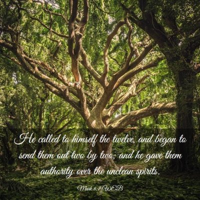 Picture 03 - Mark 6:7 WEB - He called to himself the twelve, and began to - Bible Verse Picture