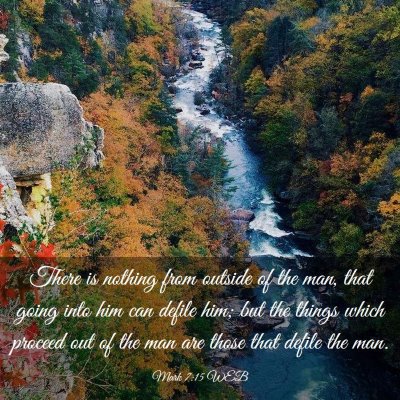 Picture 03 - Mark 7:15 WEB - There is nothing from outside of the man, that - Bible Verse Picture