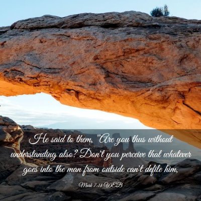 Picture 03 - Mark 7:18 WEB - He said to them, 