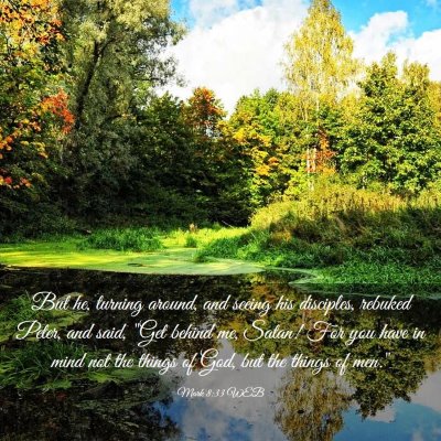Picture 03 - Mark 8:33 WEB - But he, turning around, and seeing his disciples, - Bible Verse Picture