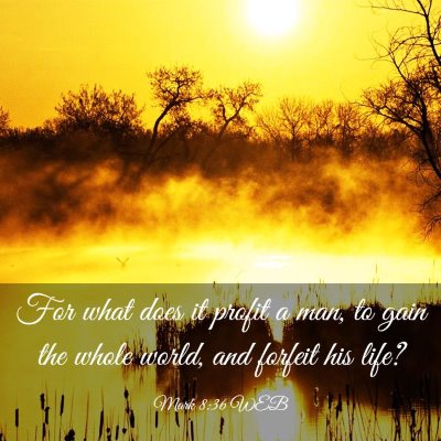 Picture 03 - Mark 8:36 WEB - For what does it profit a man, to gain the whole - Bible Verse Picture