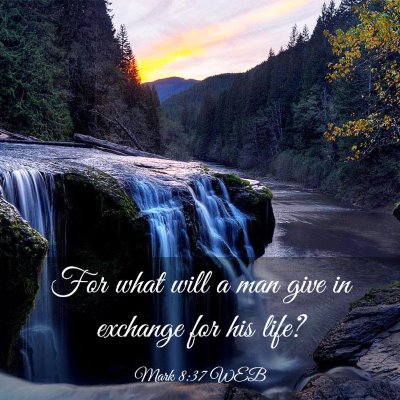 Picture 03 - Mark 8:37 WEB - For what will a man give in exchange for his - Bible Verse Picture