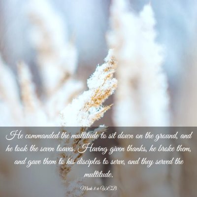 Picture 03 - Mark 8:6 WEB - He commanded the multitude to sit down on the - Bible Verse Picture