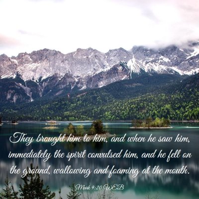 Picture 03 - Mark 9:20 WEB - They brought him to him, and when he saw him, - Bible Verse Picture