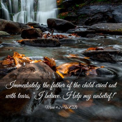 Picture 03 - Mark 9:24 WEB - Immediately the father of the child cried out - Bible Verse Picture