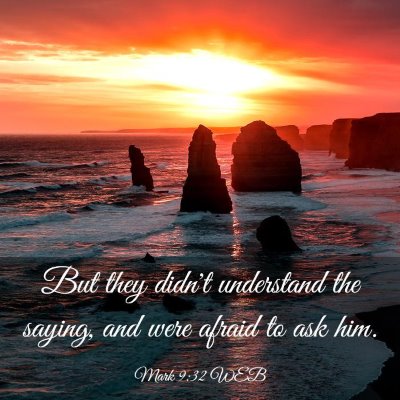 Picture 03 - Mark 9:32 WEB - But they didn't understand the saying, and were - Bible Verse Picture