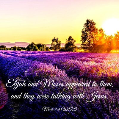 Picture 03 - Mark 9:4 WEB - Elijah and Moses appeared to them, and they were - Bible Verse Picture