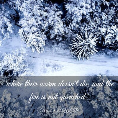 Picture 03 - Mark 9:44 WEB - 'where their worm doesn't die, and the fire is - Bible Verse Picture