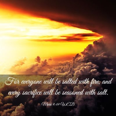 Picture 03 - Mark 9:49 WEB - For everyone will be salted with fire, and every - Bible Verse Picture