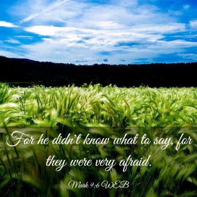 Picture 03 - Mark 9:6 WEB - For he didn't know what to say, for they were - Bible Verse Picture