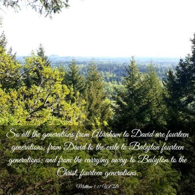 Picture 03 - Matthew 1:17 WEB - So all the generations from Abraham to David are - Bible Verse Picture