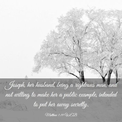 Picture 03 - Matthew 1:19 WEB - Joseph, her husband, being a righteous man, and - Bible Verse Picture