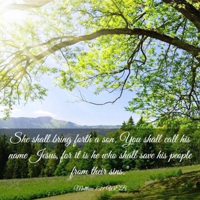 Picture 03 - Matthew 1:21 WEB - She shall bring forth a son. You shall call his - Bible Verse Picture