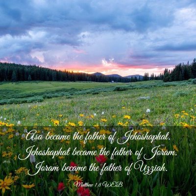 Picture 03 - Matthew 1:8 WEB - Asa became the father of Jehoshaphat. Jehoshaphat - Bible Verse Picture