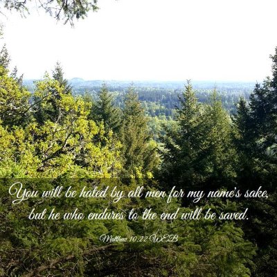 Picture 03 - Matthew 10:22 WEB - You will be hated by all men for my name's sake, - Bible Verse Picture
