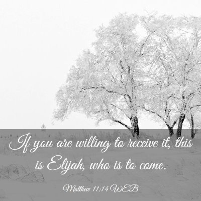 Picture 03 - Matthew 11:14 WEB - If you are willing to receive it, this is Elijah, - Bible Verse Picture