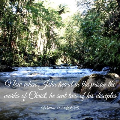 Picture 03 - Matthew 11:2 WEB - Now when John heard in the prison the works of - Bible Verse Picture