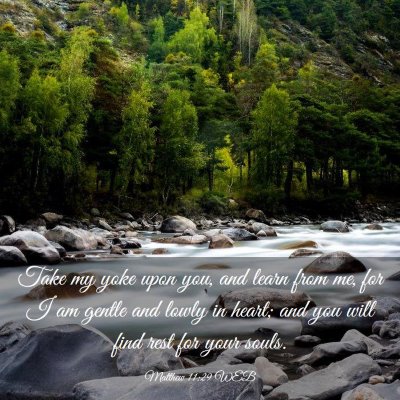 Picture 03 - Matthew 11:29 WEB - Take my yoke upon you, and learn from me, for I - Bible Verse Picture