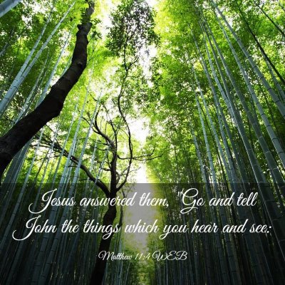 Picture 03 - Matthew 11:4 WEB - Jesus answered them, 