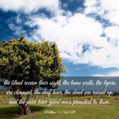 Picture 03 - Matthew 11:5 WEB - the blind receive their sight, the lame walk, the - Bible Verse Picture