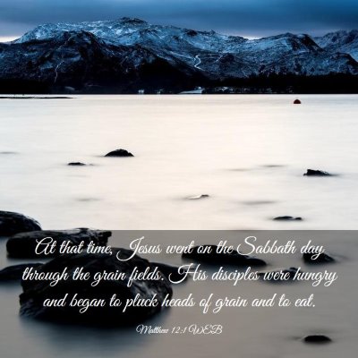 Picture 03 - Matthew 12:1 WEB - At that time, Jesus went on the Sabbath day - Bible Verse Picture