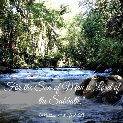 Picture 03 - Matthew 12:8 WEB - For the Son of Man is Lord of the - Bible Verse Picture