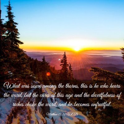 Picture 03 - Matthew 13:22 WEB - What was sown among the thorns, this is he who - Bible Verse Picture
