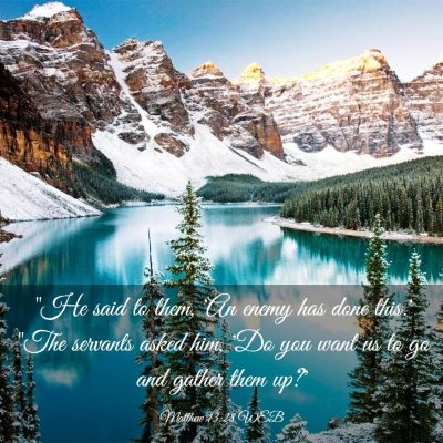 Picture 03 - Matthew 13:28 WEB - 