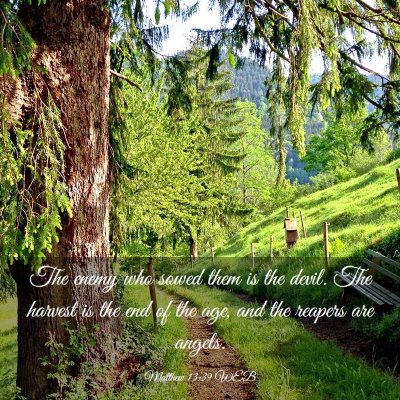 Picture 03 - Matthew 13:39 WEB - The enemy who sowed them is the devil. The - Bible Verse Picture
