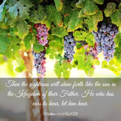 Picture 03 - Matthew 13:43 WEB - Then the righteous will shine forth like the sun - Bible Verse Picture