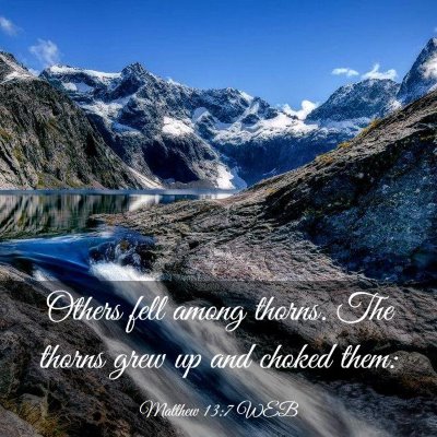Picture 03 - Matthew 13:7 WEB - Others fell among thorns. The thorns grew up and - Bible Verse Picture