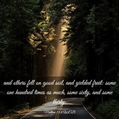 Picture 03 - Matthew 13:8 WEB - and others fell on good soil, and yielded fruit: - Bible Verse Picture