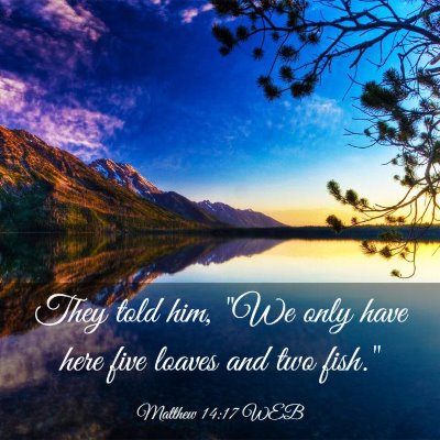 Picture 03 - Matthew 14:17 WEB - They told him, 