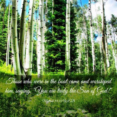 Picture 03 - Matthew 14:33 WEB - Those who were in the boat came and worshiped - Bible Verse Picture