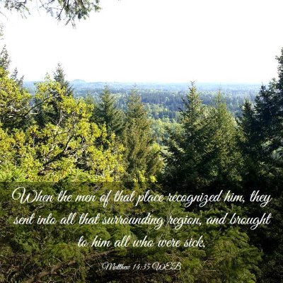 Picture 03 - Matthew 14:35 WEB - When the men of that place recognized him, they - Bible Verse Picture