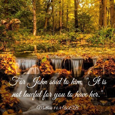 Picture 03 - Matthew 14:4 WEB - For John said to him, 