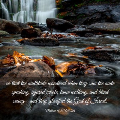 Picture 03 - Matthew 15:31 WEB - so that the multitude wondered when they saw the - Bible Verse Picture